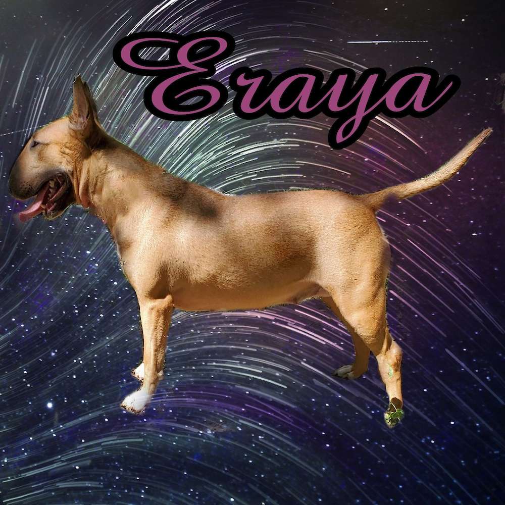 Eraya Figueroa